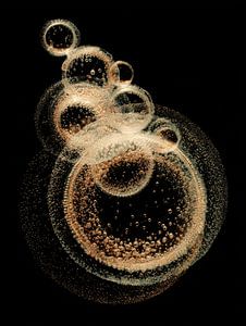 Bulles de Chanpagne