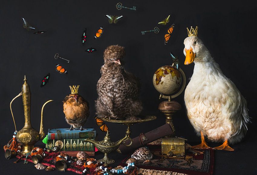 Still life poultry, stillife poultry by <span class="secondary-font">Corrine Ponsen</span>