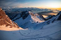 Treintje komt aan op Pilatus Kulm - Obwalden / Nidwalden - Zwitserland van Felina Photography thumbnail
