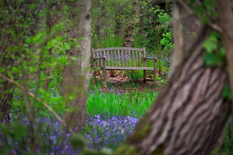 petit banc dans la forêt par Ed Dorrestein