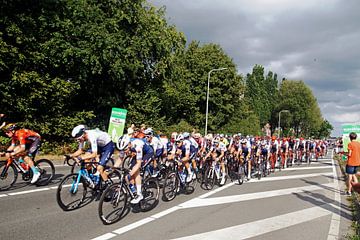 The Vuelta flies past the Bilt by wil spijker