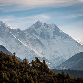 Uitzicht op Everest van Felix Kammerlander