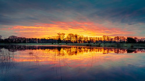 Zonsopkomst in de Klotterpeel