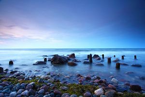 Am Strand des  Meeres