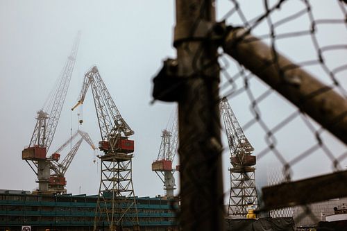 Ruoholahti Cranes Behind the Fence