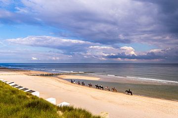 Paarden over het Zeeuwse strand van Danny Bastiaanse