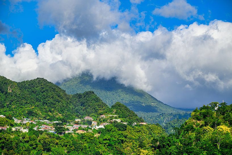 Vue de la côte de la Dominique et de la jungle par Andreas Völkel