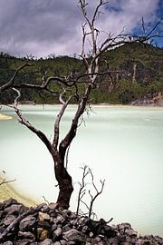 De zwavelachtige, maanachtige oevers van het Kawah Putih meer