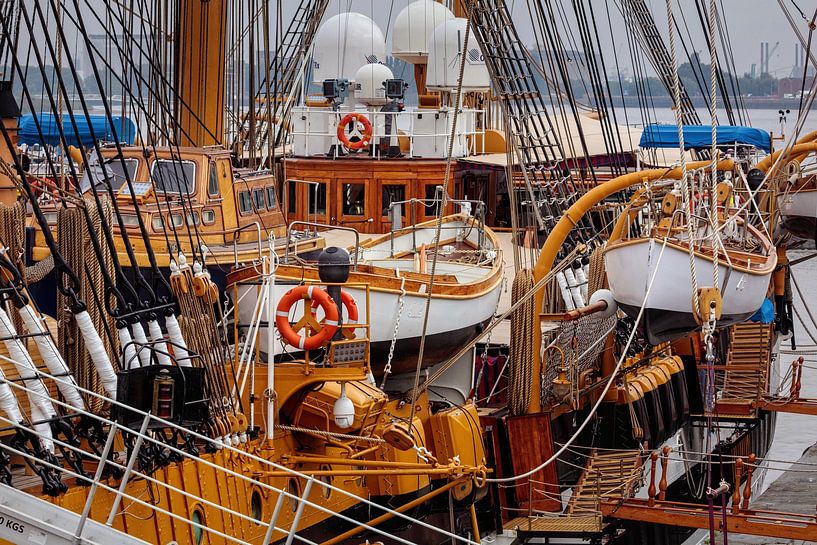 Amerigo Vespucci by Rob Boon