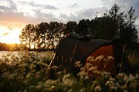 photo de nature