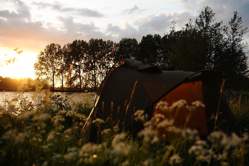 nature photo by Armin Wolf