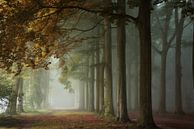 Autumnal Bliss. van Inge Bovens thumbnail