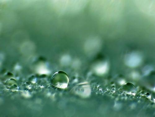 Water-Nevelen (Druppel in Petrol)