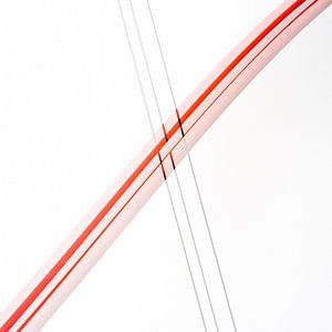 Red Lines 3 van Cor Ritmeester