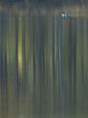 Brilduiker met reflectie van bos van Erik van Velden thumbnail