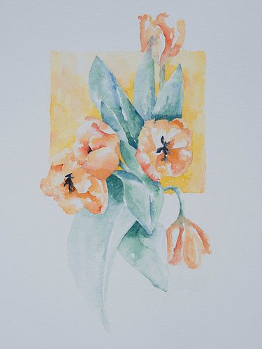 Oranje tulpen