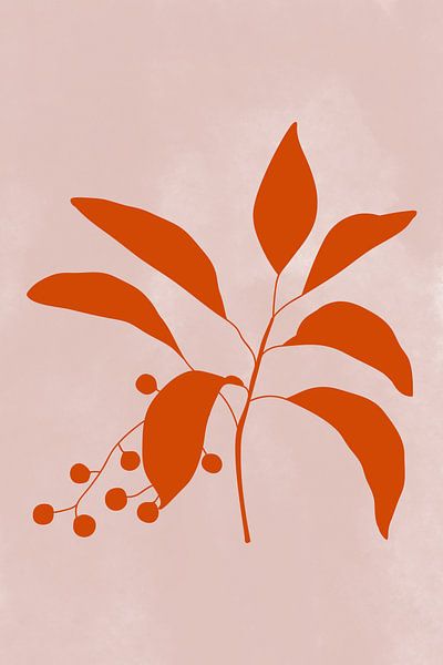 Art botanique moderne. Plante avec baies en terre cuite sur rose par Dina Dankers