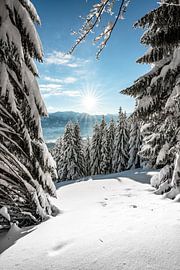 Winter view in the Allgäu by Leo Schindzielorz