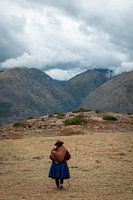 Berger au Pérou | photographie de voyage Amérique du Sud
