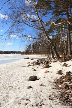 Finland in winter by Hélena Schra