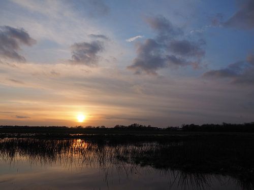 Winterse Zonsondergang