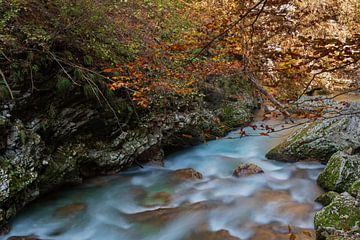 Les lacs de Plitvice et les chutes d'eau en octobre sur Alex Neumayer