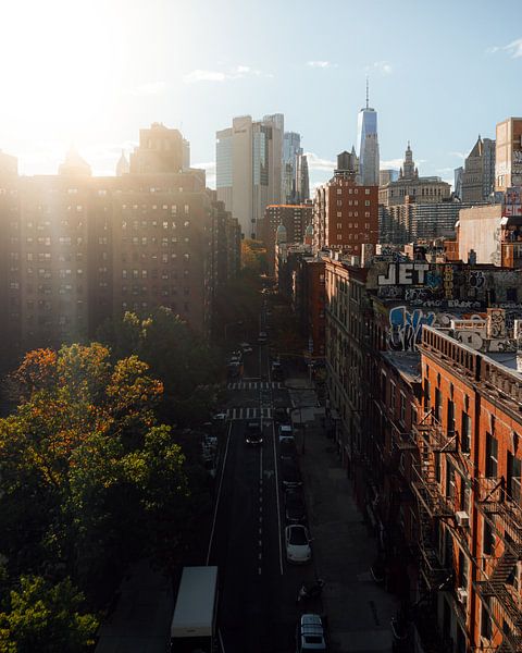 Das Leben in New York City von Ian Schepers