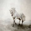 White Horse In Abstract Watercolour Landscape Painting by Diana van Tankeren