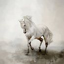 Wit Paard In Abstract Aquarel Landschap Schilderij van Diana van Tankeren thumbnail