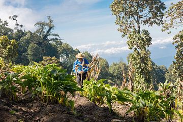 A farmer working his land on a mountain von Michiel Ton
