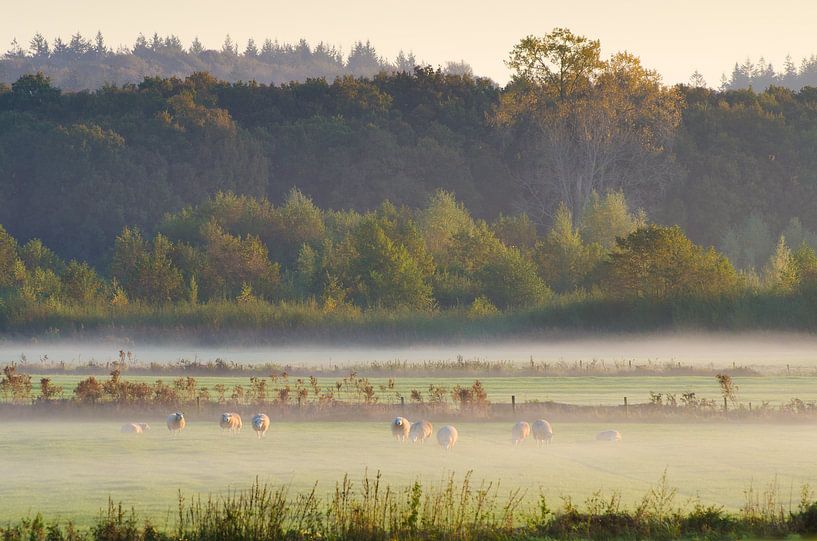 Amerongse Bovenpolder van Mark Bolijn