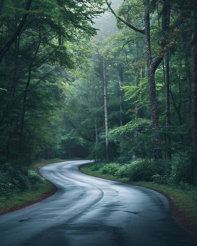 Uitzicht langs de straat
