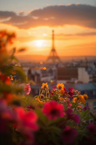 Blooming sunset in Paris