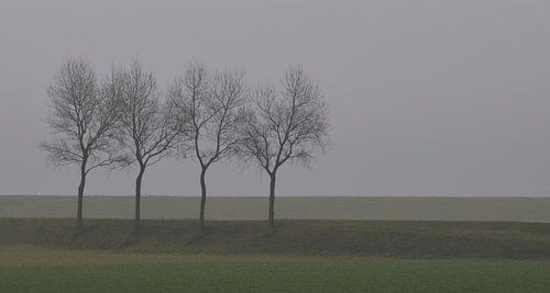 Een mistige zondag aan de dijk.