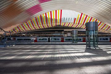Liège Guillemins treinstation perron van Werner Lerooy