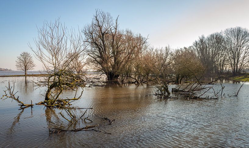 Überschwemmungsgebiete der niederländischen Waal von Ruud Morijn