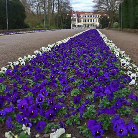 Gelsenkirchen-der blauweisse Weg von Edgar Schermaul