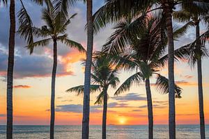 Sunset On The Beach