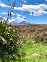 Tongario national park