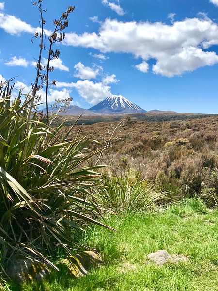 Tongario national park by Yolande Mulder