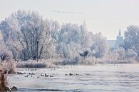 Winter langs de IJssel van Evert Jan Kip thumbnail