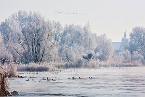 Winter an der IJssel