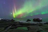 Northern Lights Dance Above Lofoten’s Coast