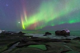 Northern Lights Dance Above Lofoten’s Coast by Olga Ilina