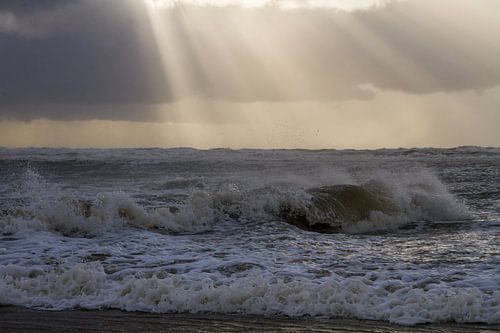 Sunset over storm north sea with big waves and breaking surf