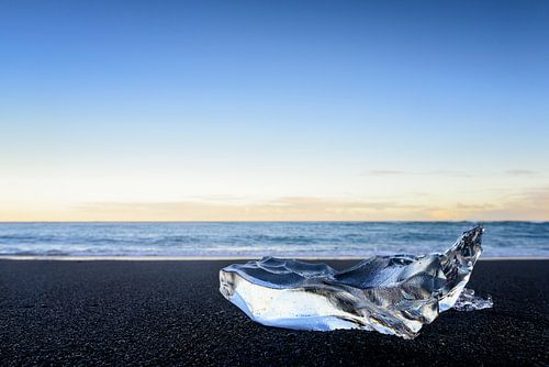 IJsvorm op het lavastrand van Jokulsarlon in IJsland