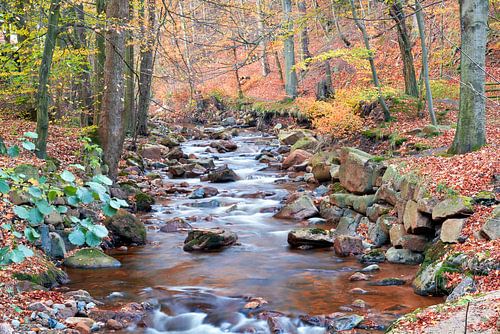 De rivier de Ilse in het Harz Nationaal Park