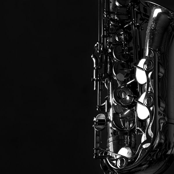 Saxofoon van Celina Dorrestein