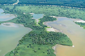 Luchtfoto groene Oostvaardersplassen van aerovista luchtfotografie