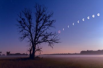 Maansverduistering van Heiko Lehmann